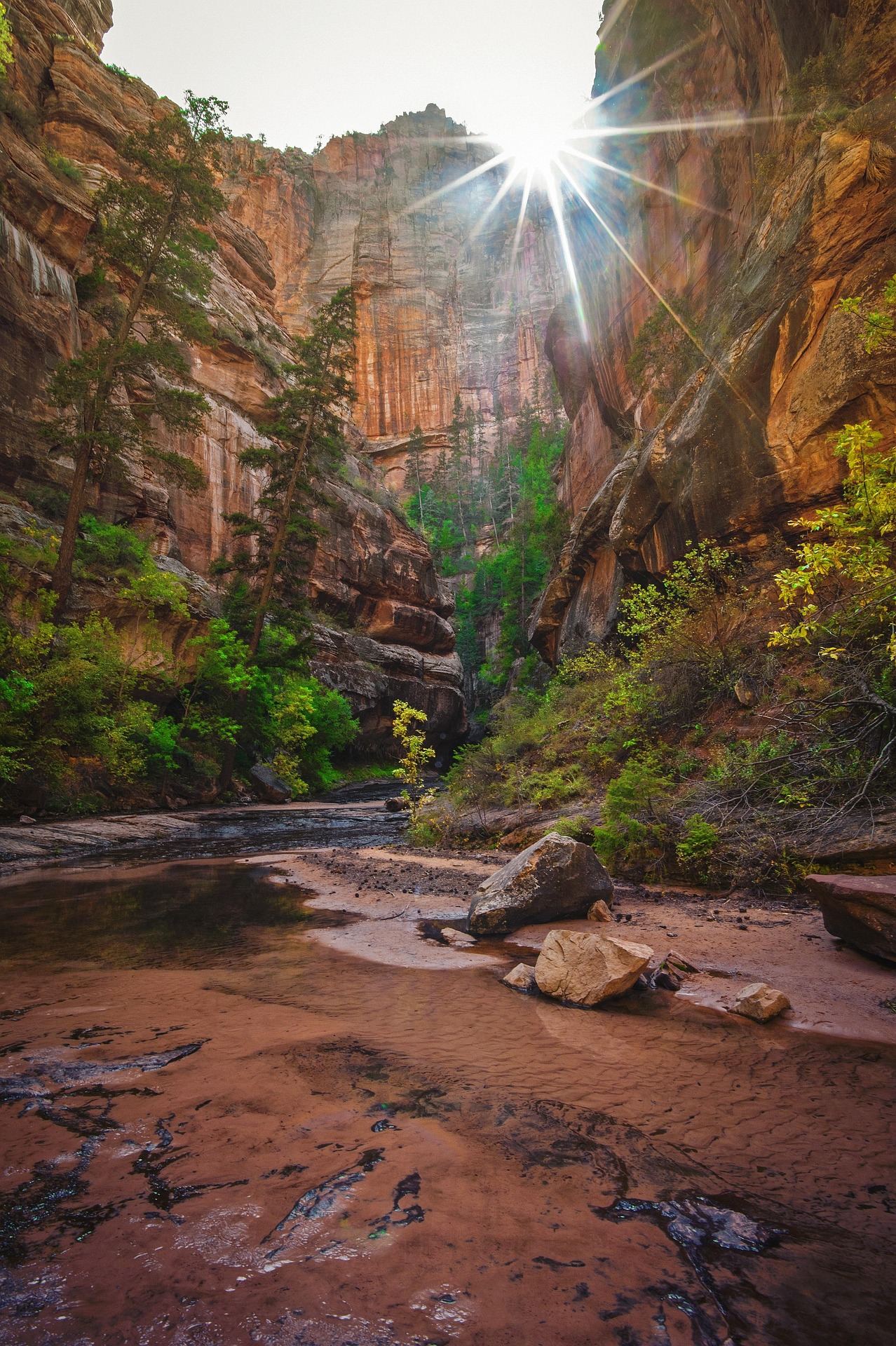 Sun bursting over canyon walls above a red bedrock stream bed with shallow pools and green trees