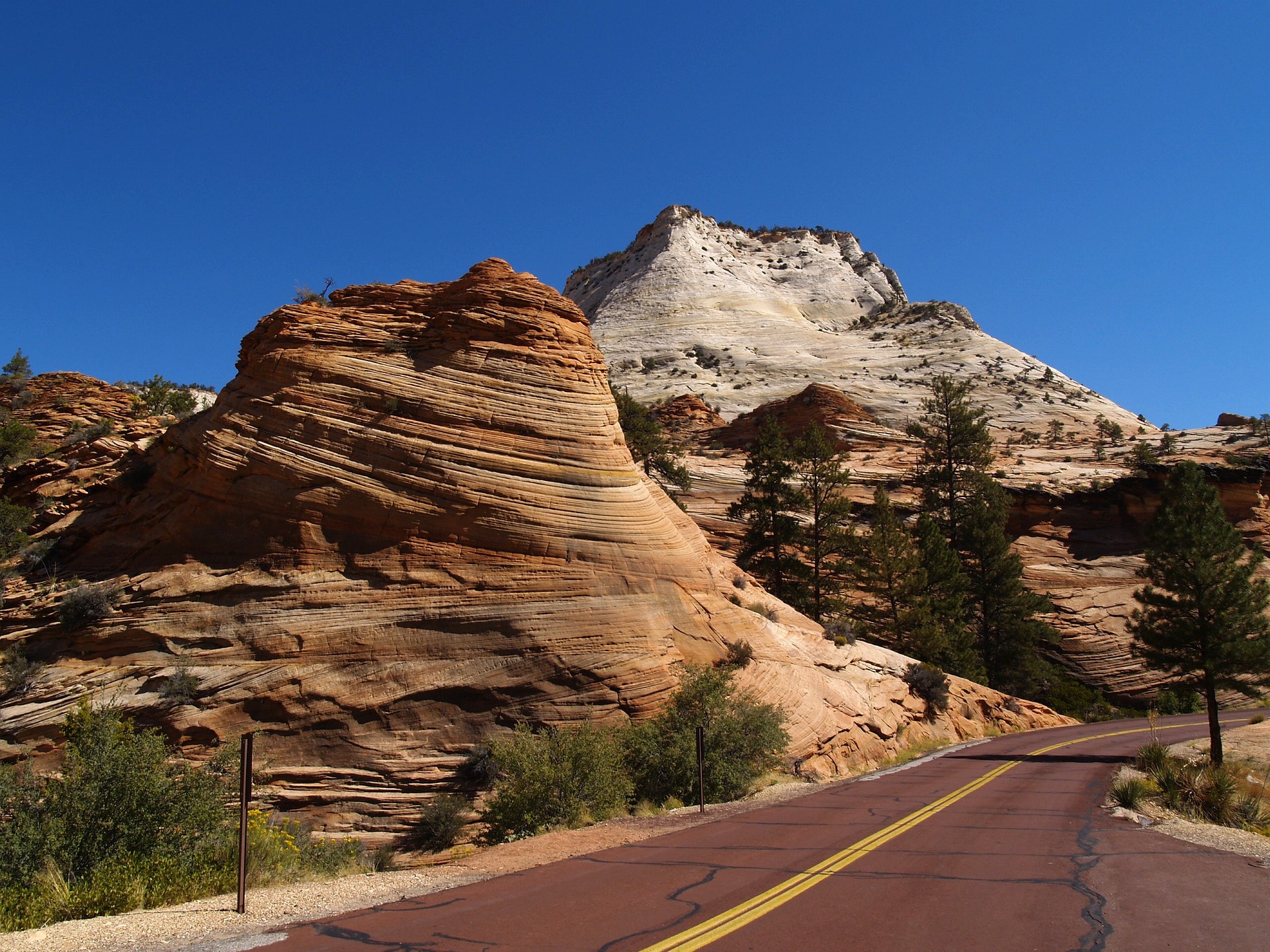 Slickrock Domes on the East Side of Zion Red asphalt road curving past cross bedded sandstone domes on the east side of Zion National Park