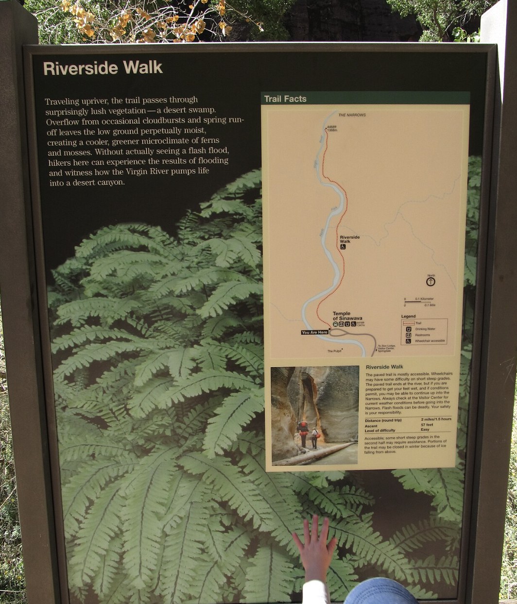 National Park Service trail sign for the Riverside Walk showing a map and trail facts in Zion Canyon