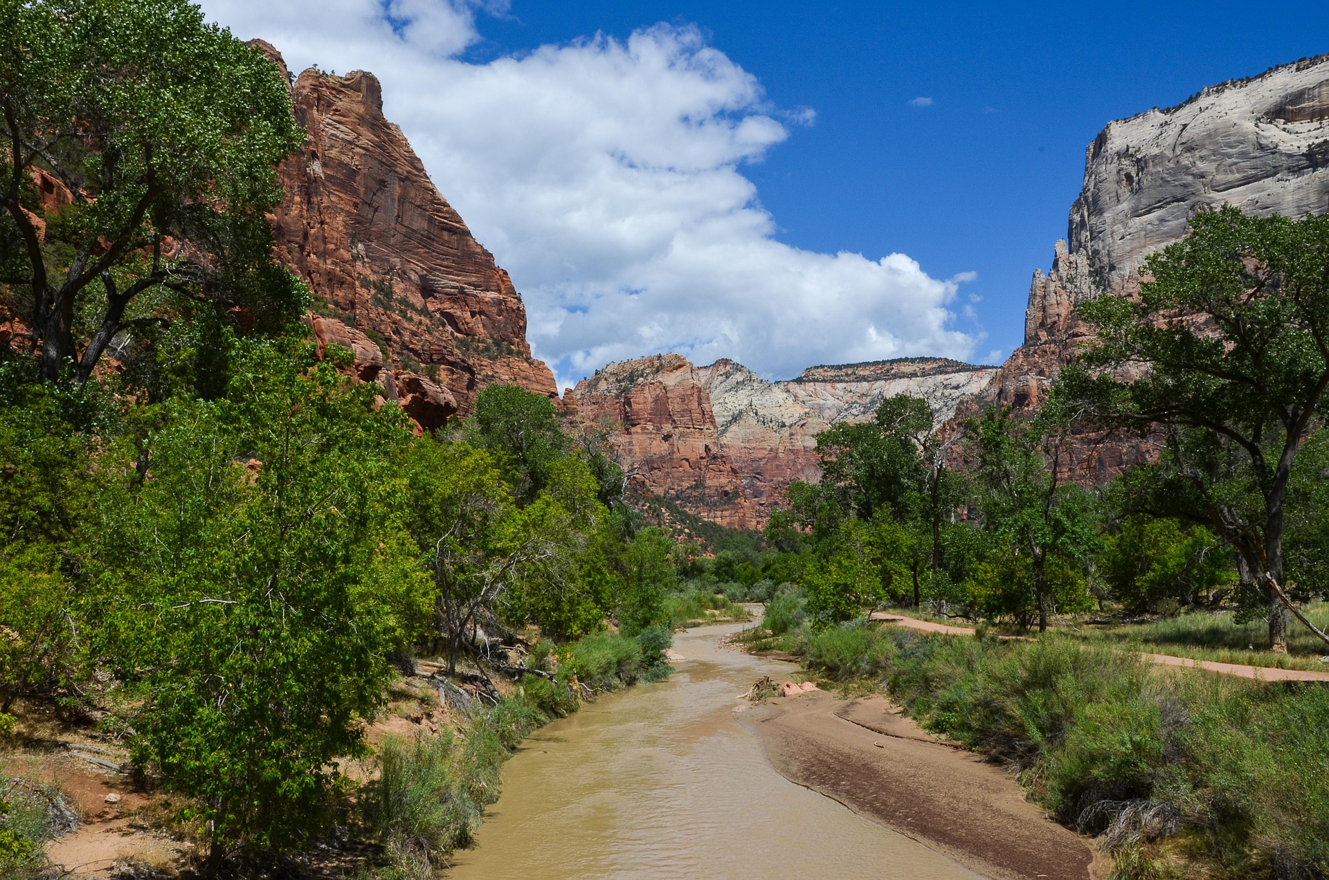 Virgin River, Zion Canyon floor The Virgin River winds between cottonwood trees on the floor of Zion Canyon, with red and white cliffs behind
