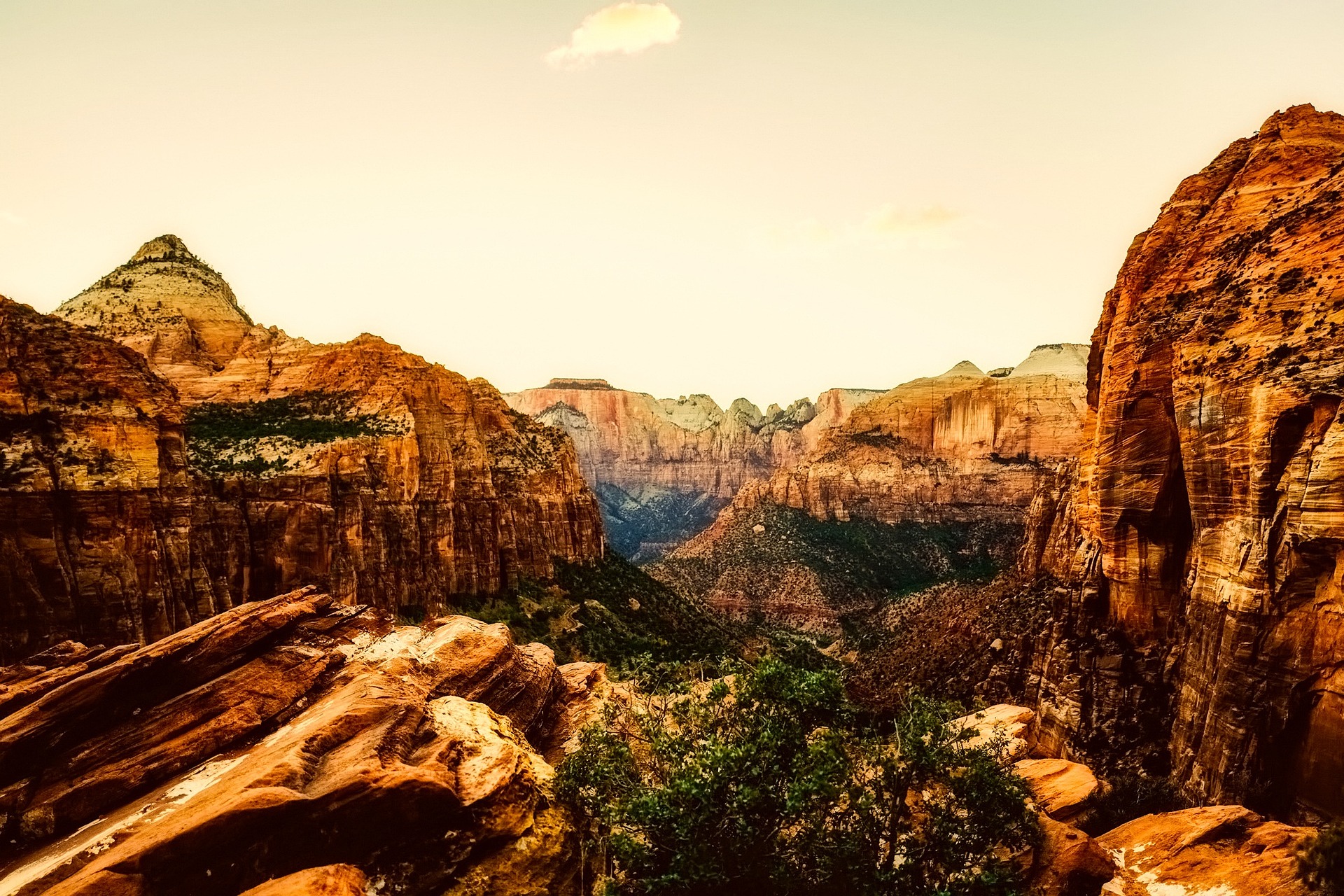Evening Light From Canyon Overlook Golden evening light on the cliffs of lower Zion Canyon seen from the Canyon Overlook viewpoint
