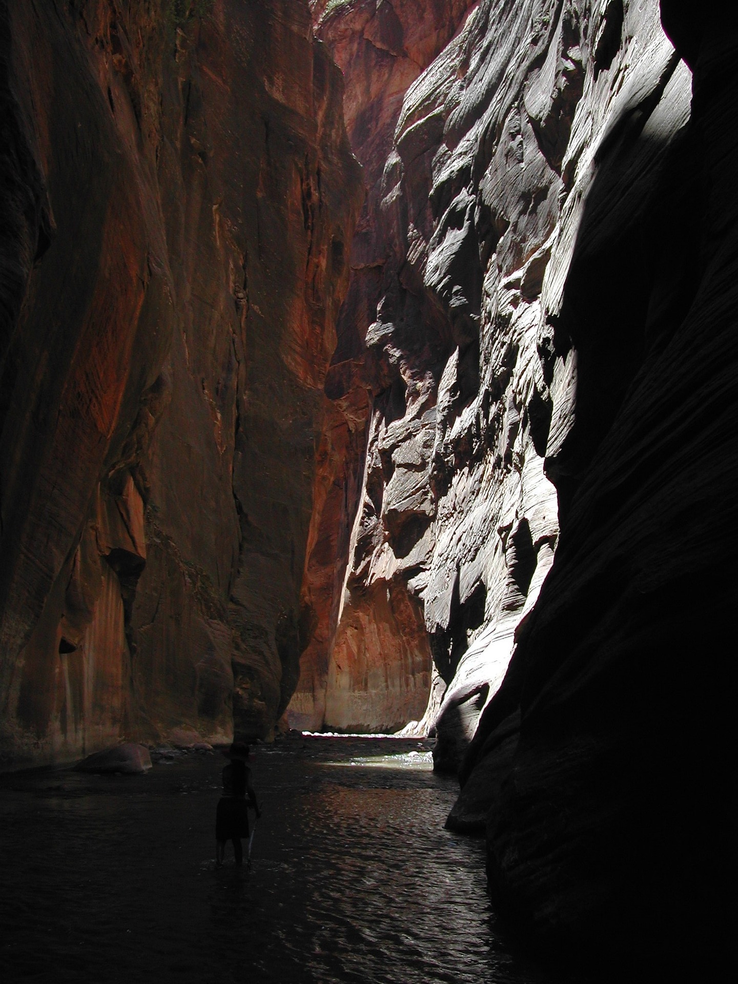 Lone hiker with a walking stick wading the Virgin River between towering canyon walls in the Zion Narrows